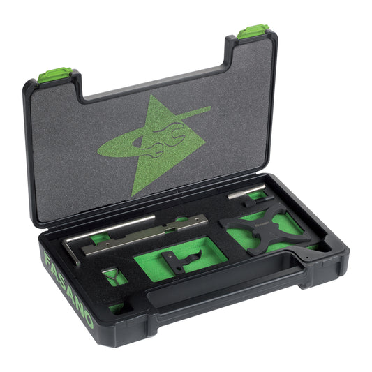 Set Fasatura Motori Ford 1.25/1.4/1.6/1.6 Ti-Vct (Benzina) 2.0 Tdci, FG 192/FO4
