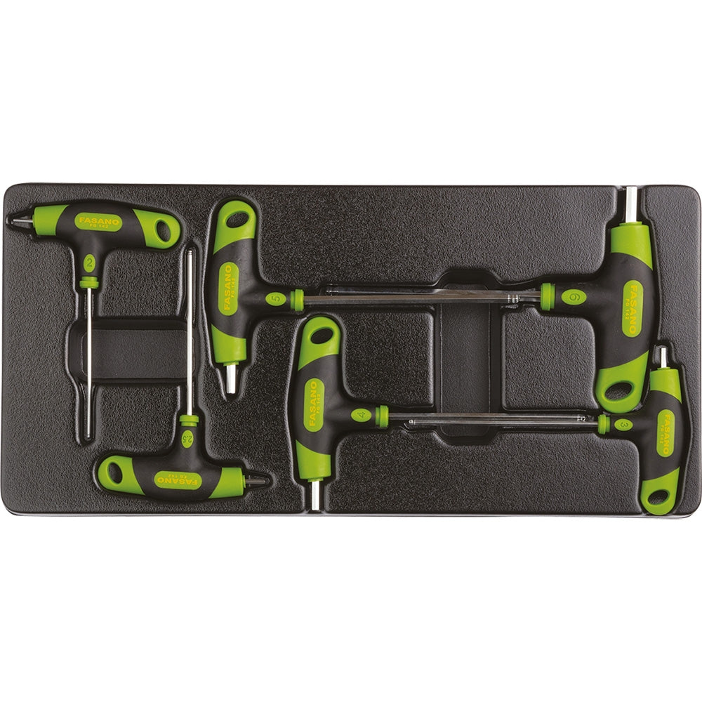 Modulo Chiavi Maschio Esagonali Con Impugatura, FG 102/50F