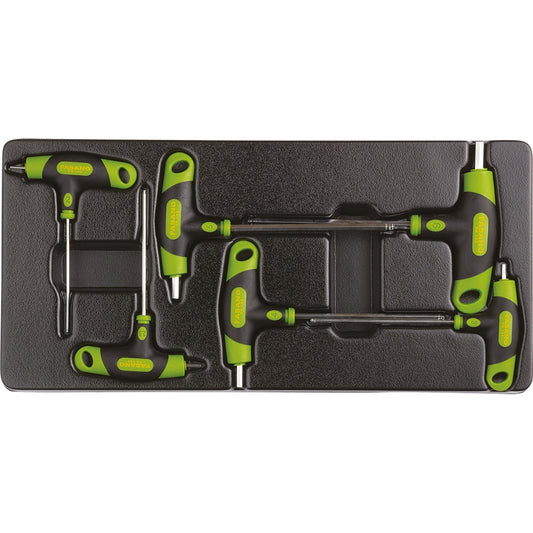 Modulo Chiavi Maschio Esagonali Con Impugatura, FG 102/50F